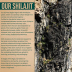 Premium Himalayan shilajit resin - Sages of the Ages