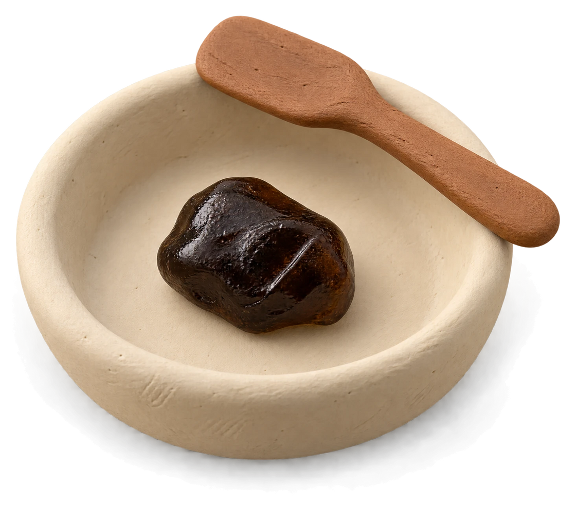 A dark piece of shilajit resin in a small clay dish, a wooden spoon resting on the rim