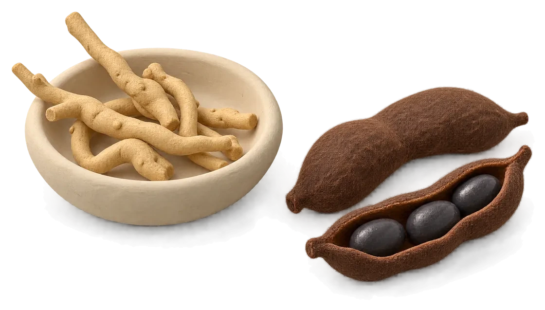 Pale ashwagandha roots in a small cream clay dish, and two fuzzy brown velvet bean pods, one split open