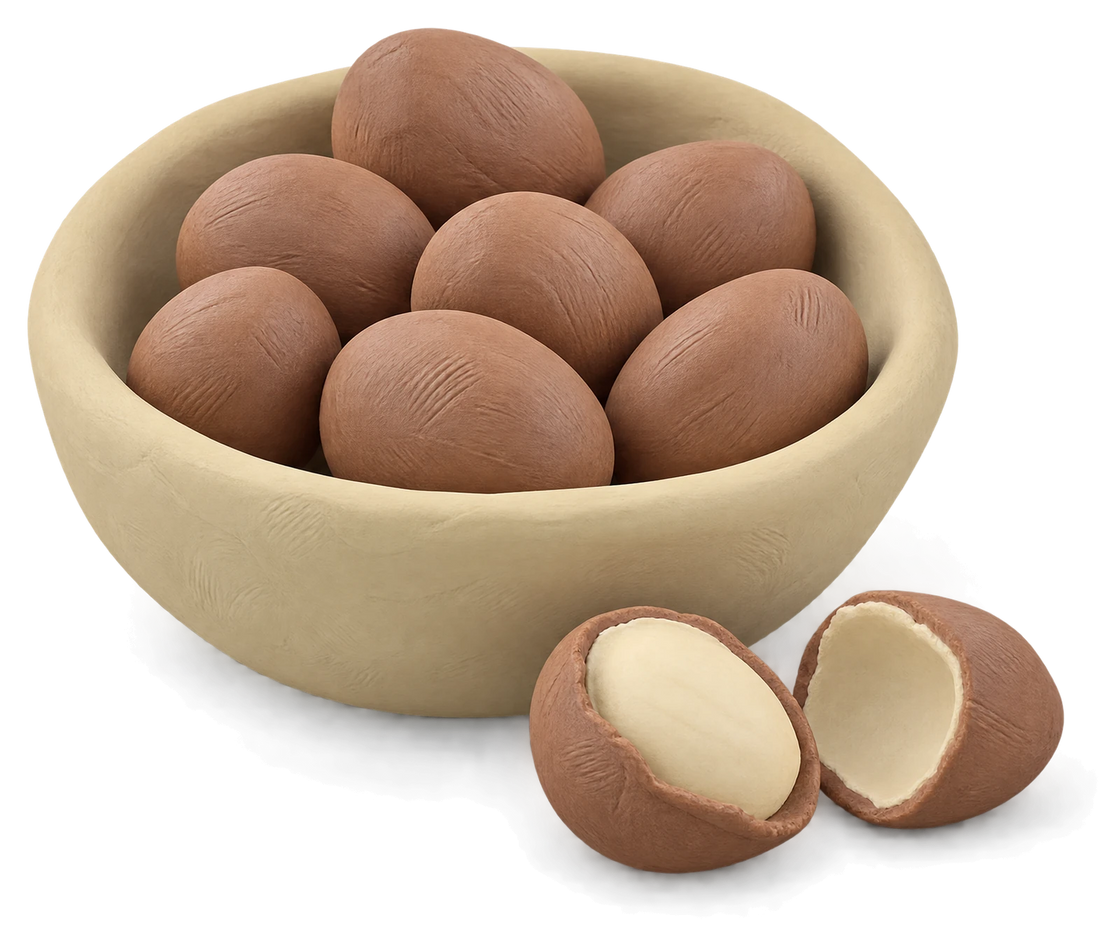 A clay bowl of brown shea nuts, one nut split open to show the cream inside